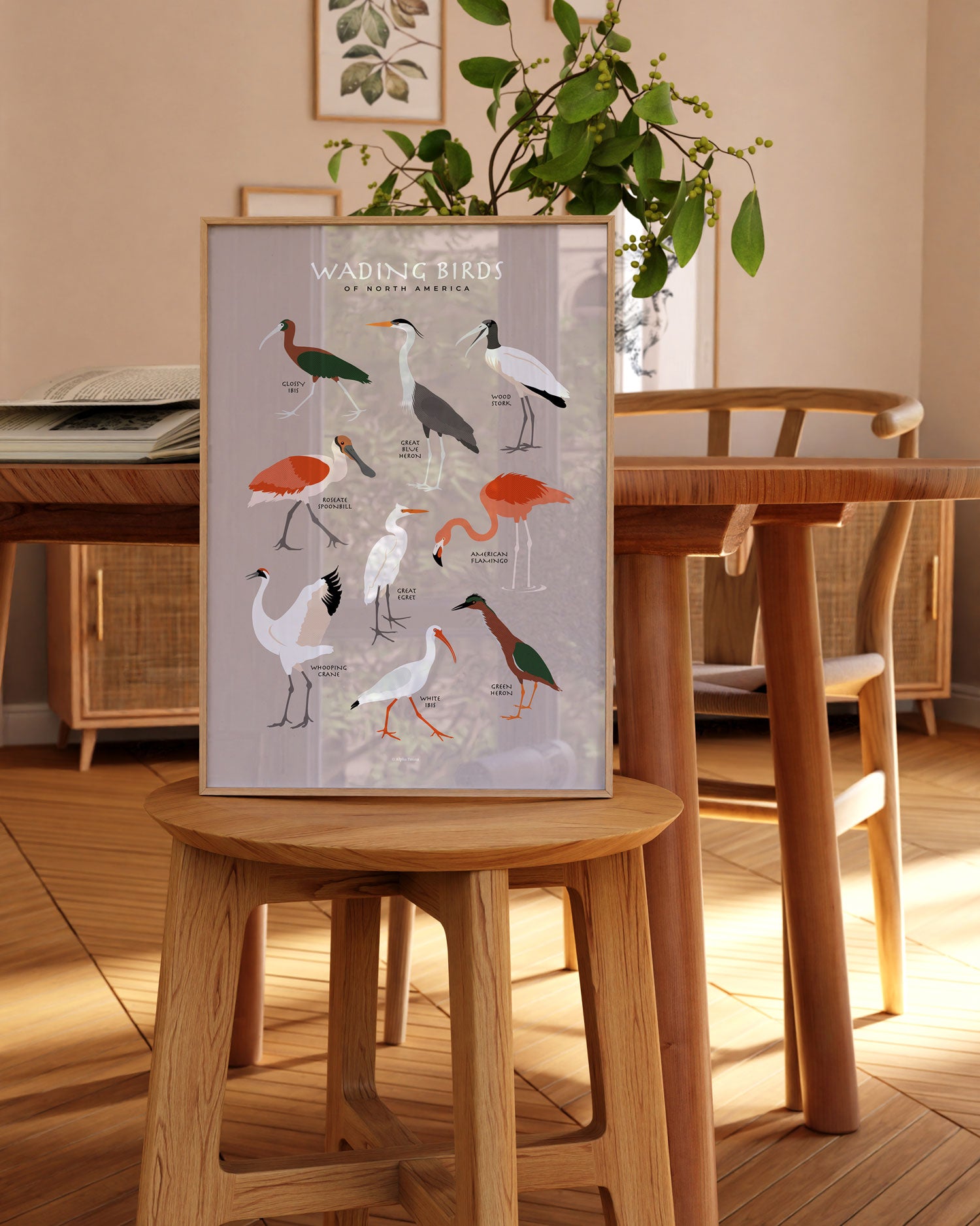 Wading Birds Of North America Art Print