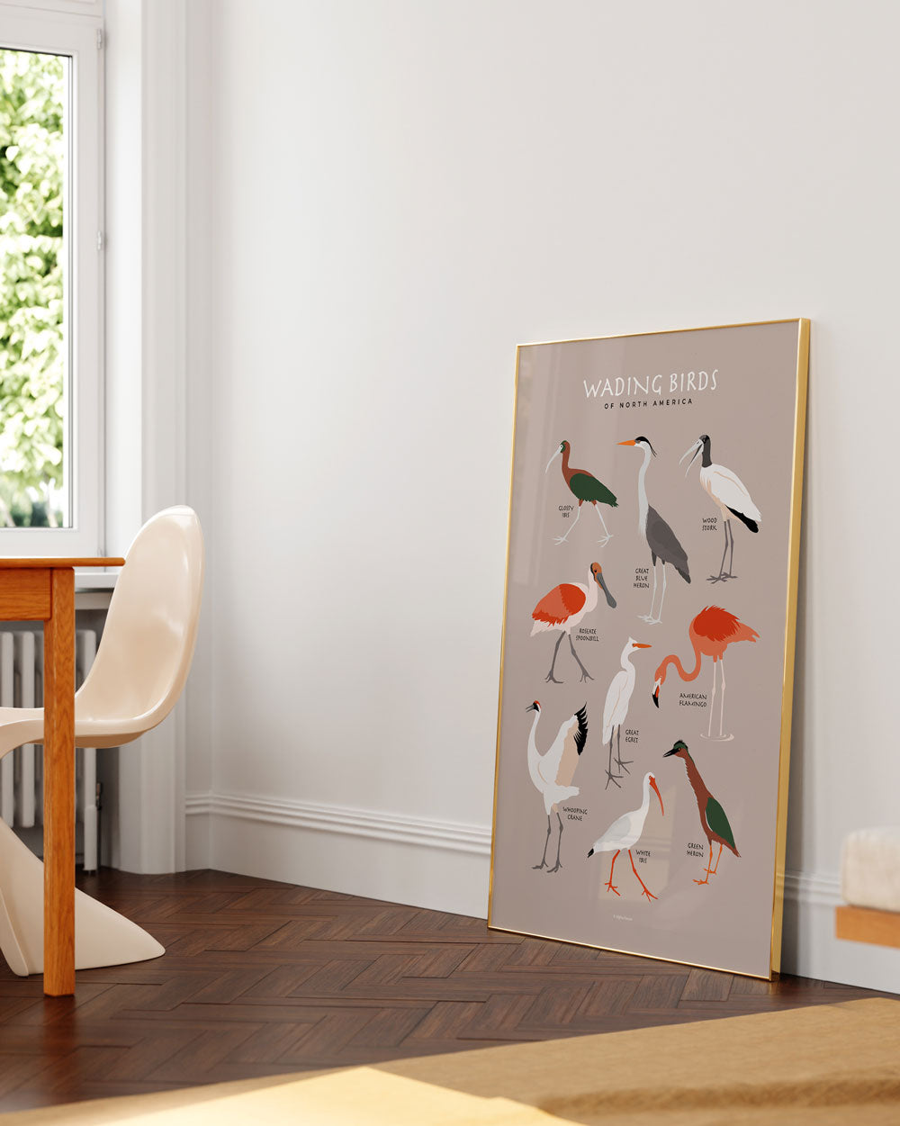 Wading Birds Of North America Art Print