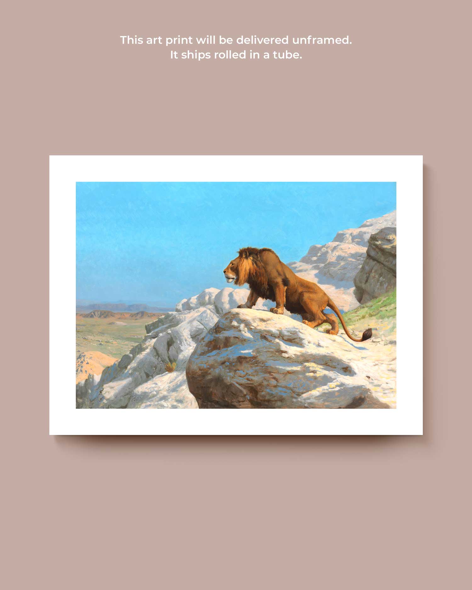 The Watching Lion Art Print
