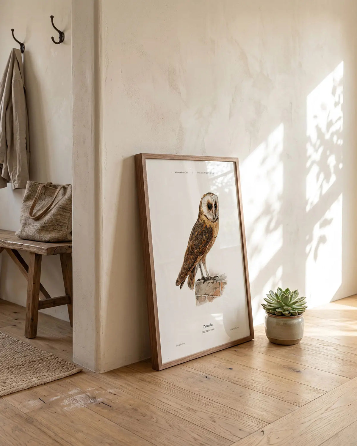 Western Barn Owl Art Print