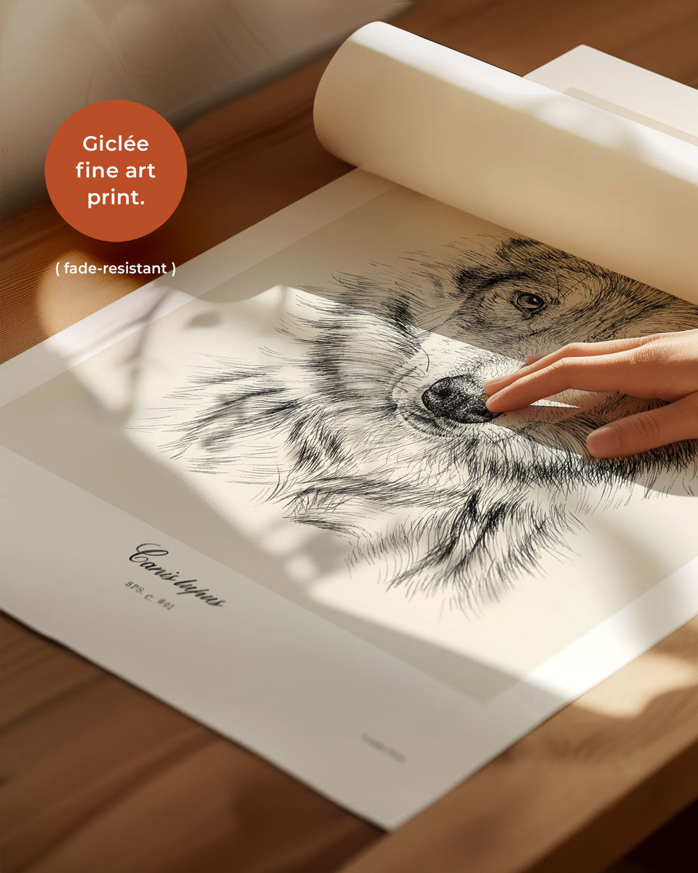 Gray Wolf Art Print