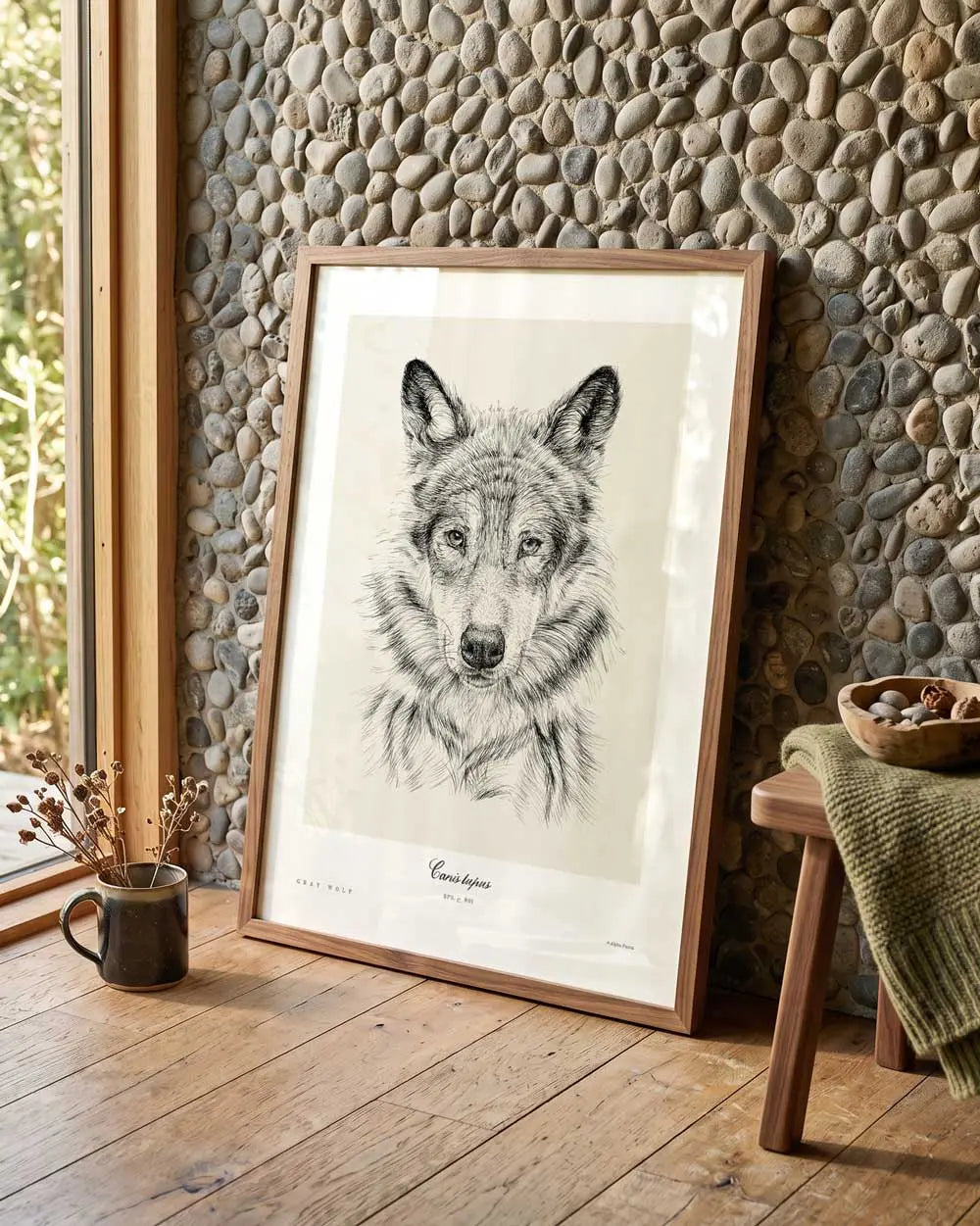 Gray Wolf Art Print