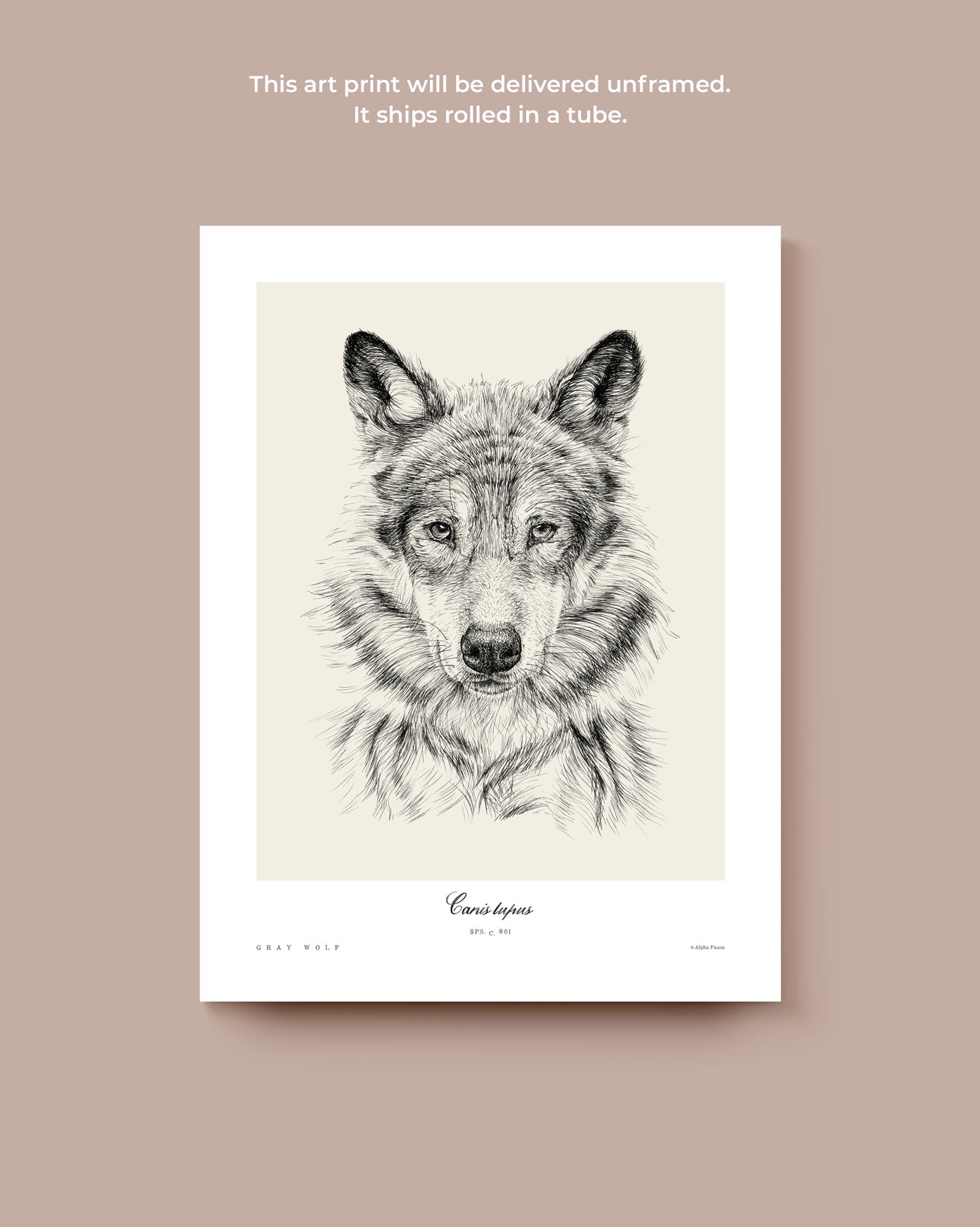 Gray Wolf Art Print