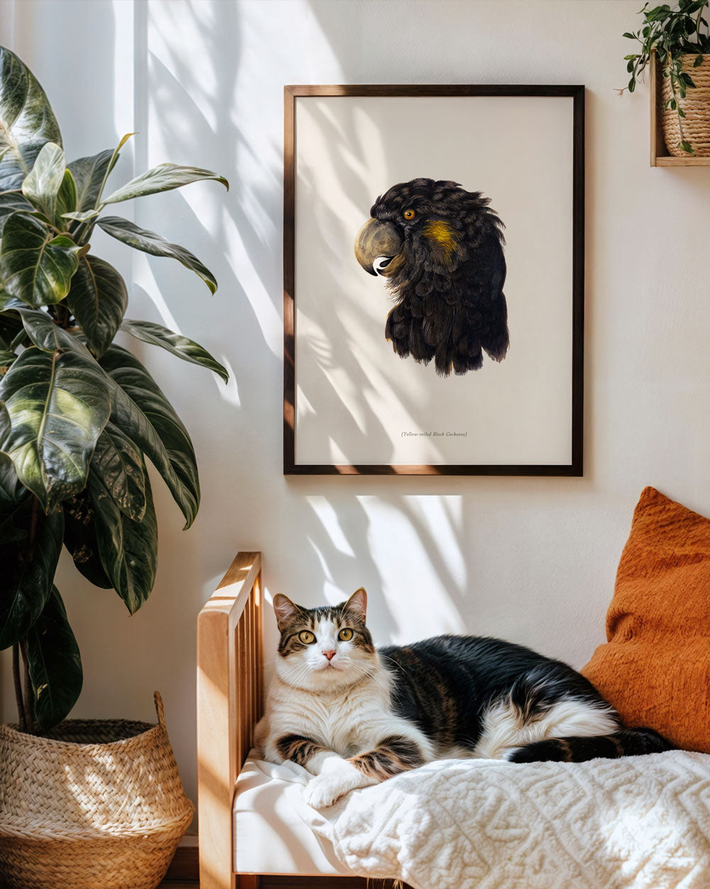 Yellow-Tailed Black Cockatoo Portrait Art Print