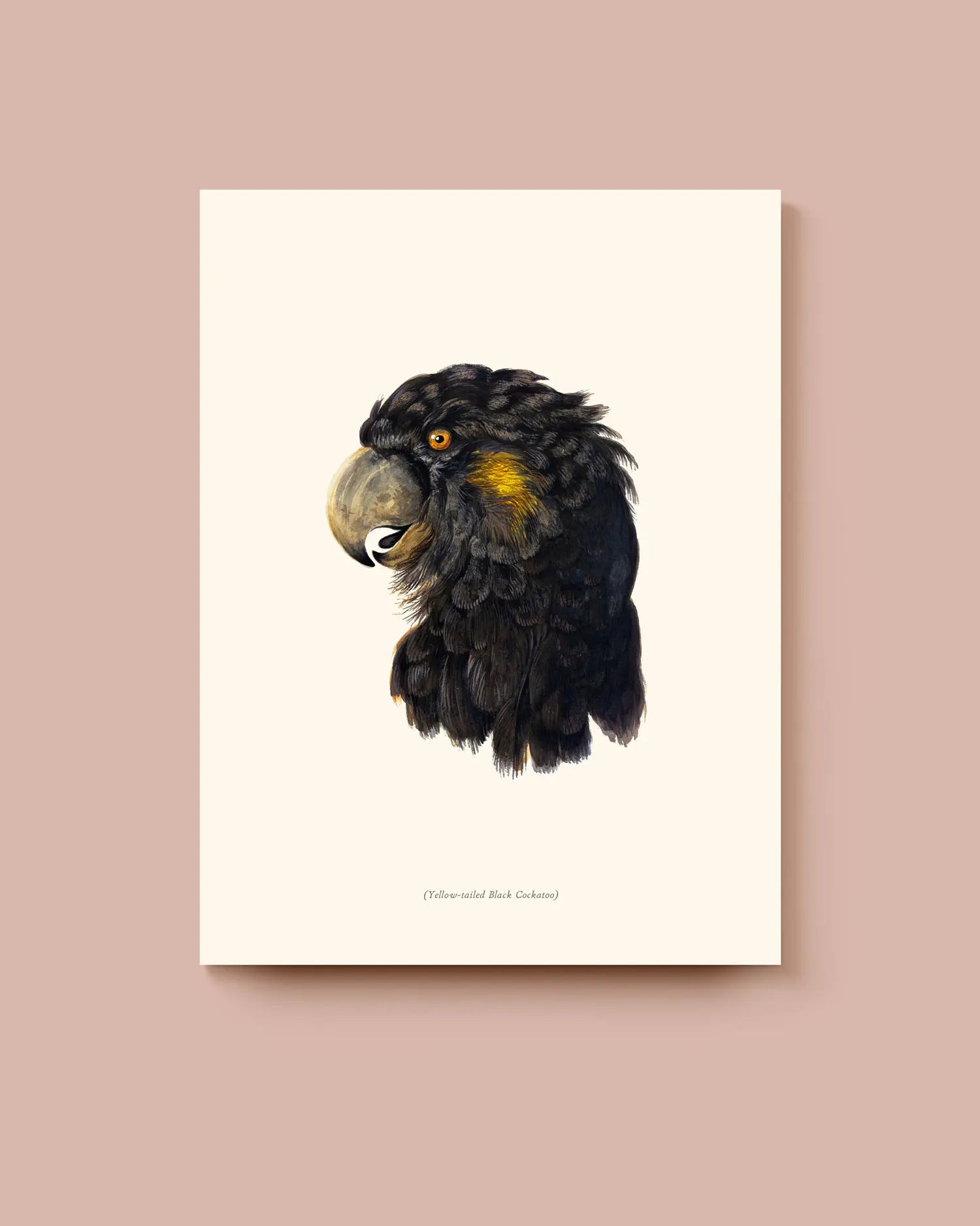 Illustration of a black cockatoo on a beige background. * Unframed print