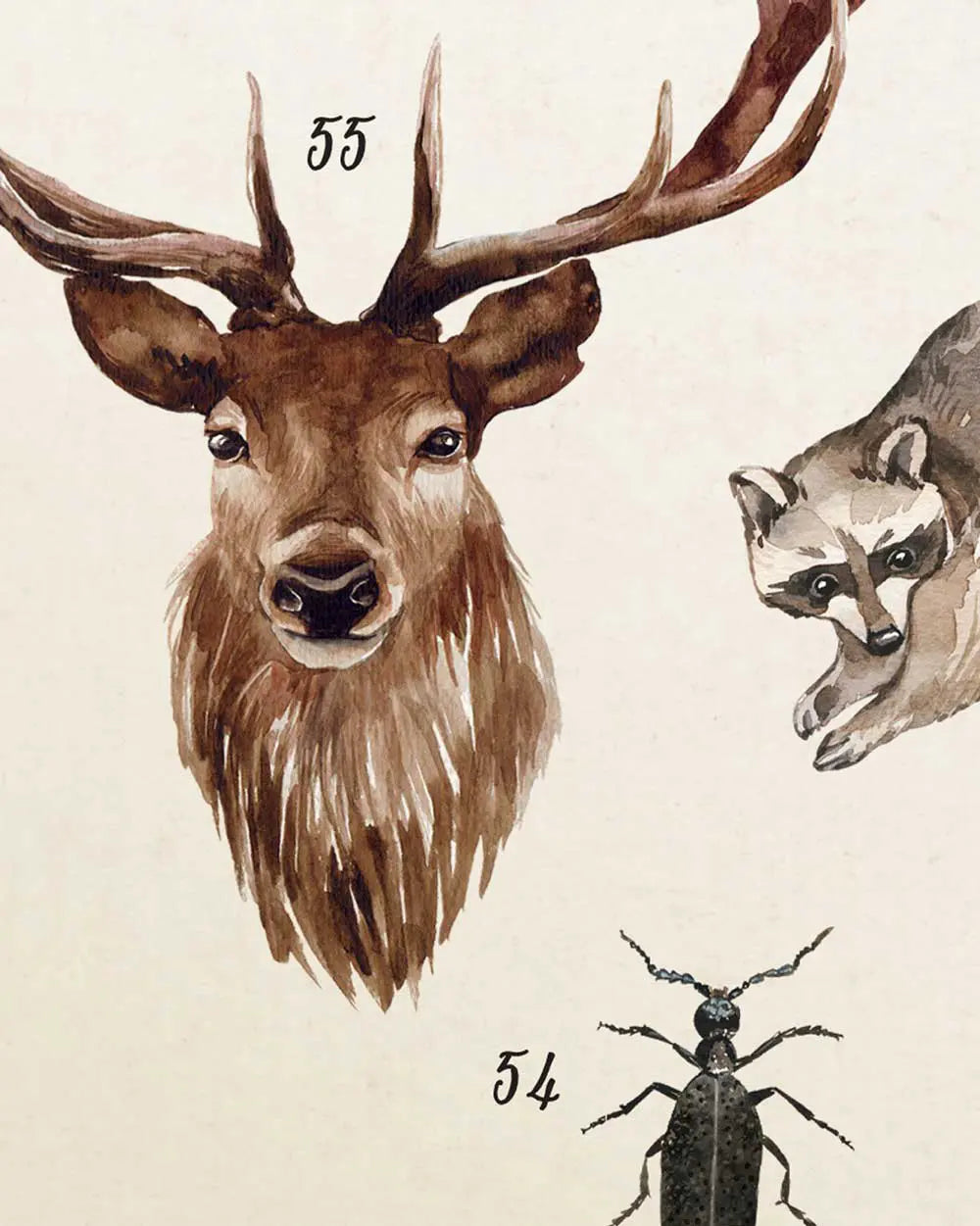 Wildlife of Yellowstone Art Print
