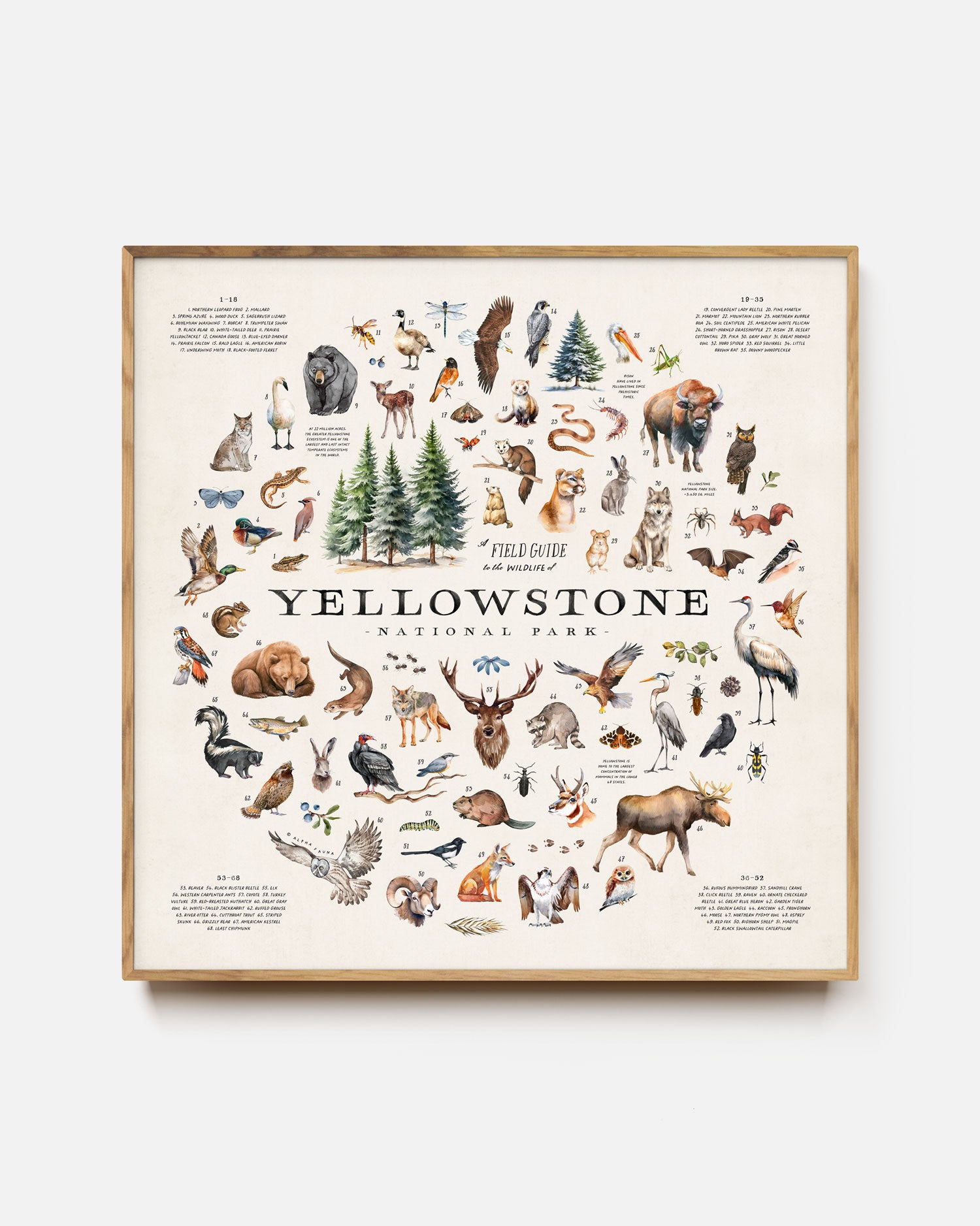 Wildlife Of Yellowstone Art Print