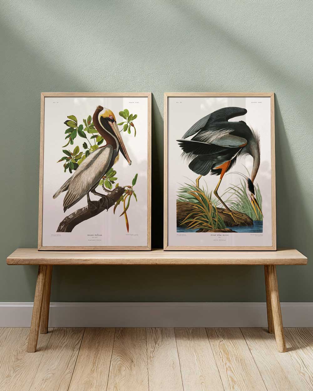 Heron & Pelican Set
