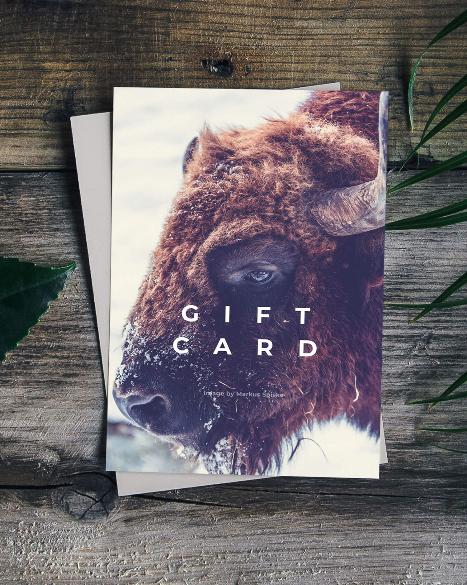 Alpha Fauna Gift Card